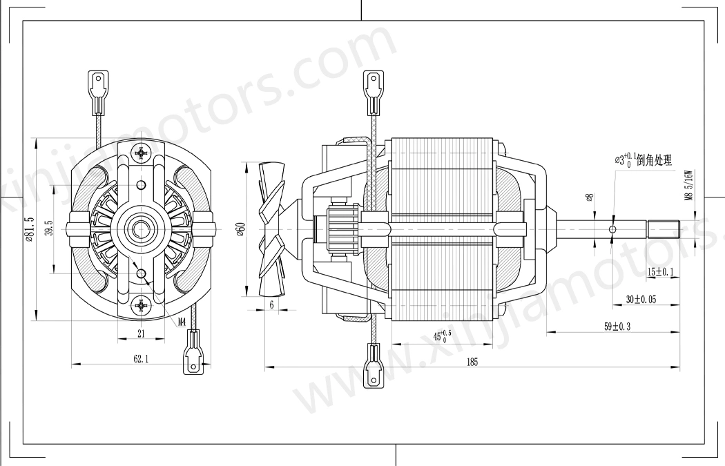 81 Series Juicer Motor with AC 220V/100V