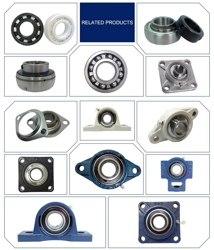 Pillow Block Housing Split Plummer Block Bearing House Sn Series